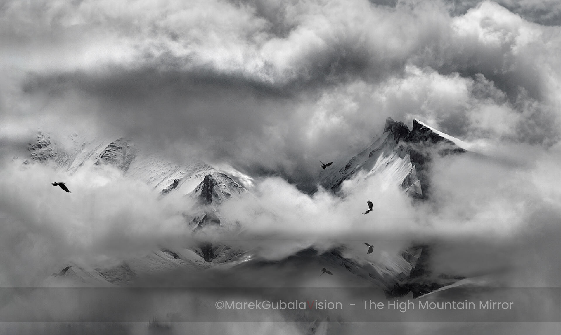 zdjęcie Marka Gubały