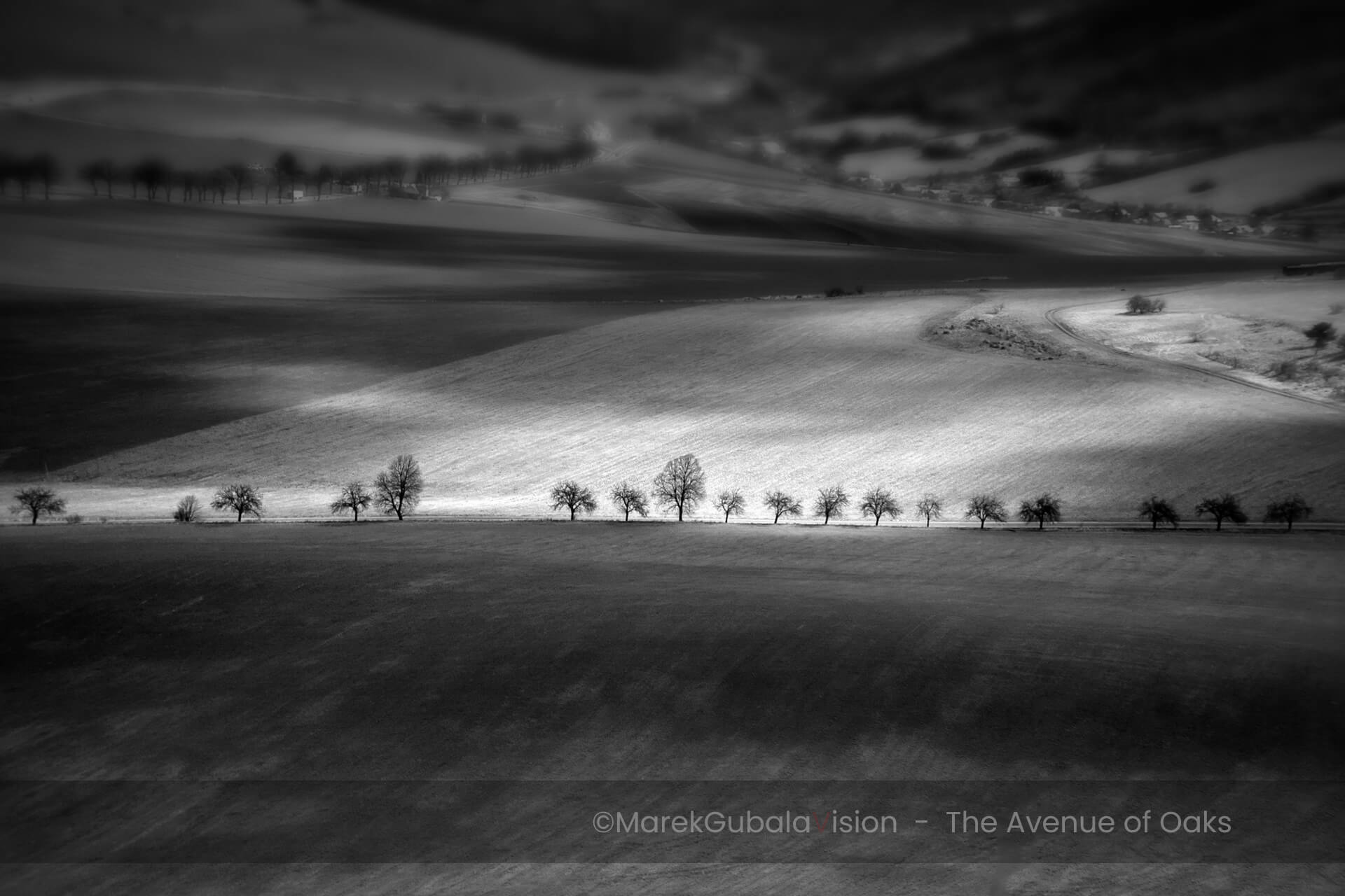 zdjęcie Marka Gubały