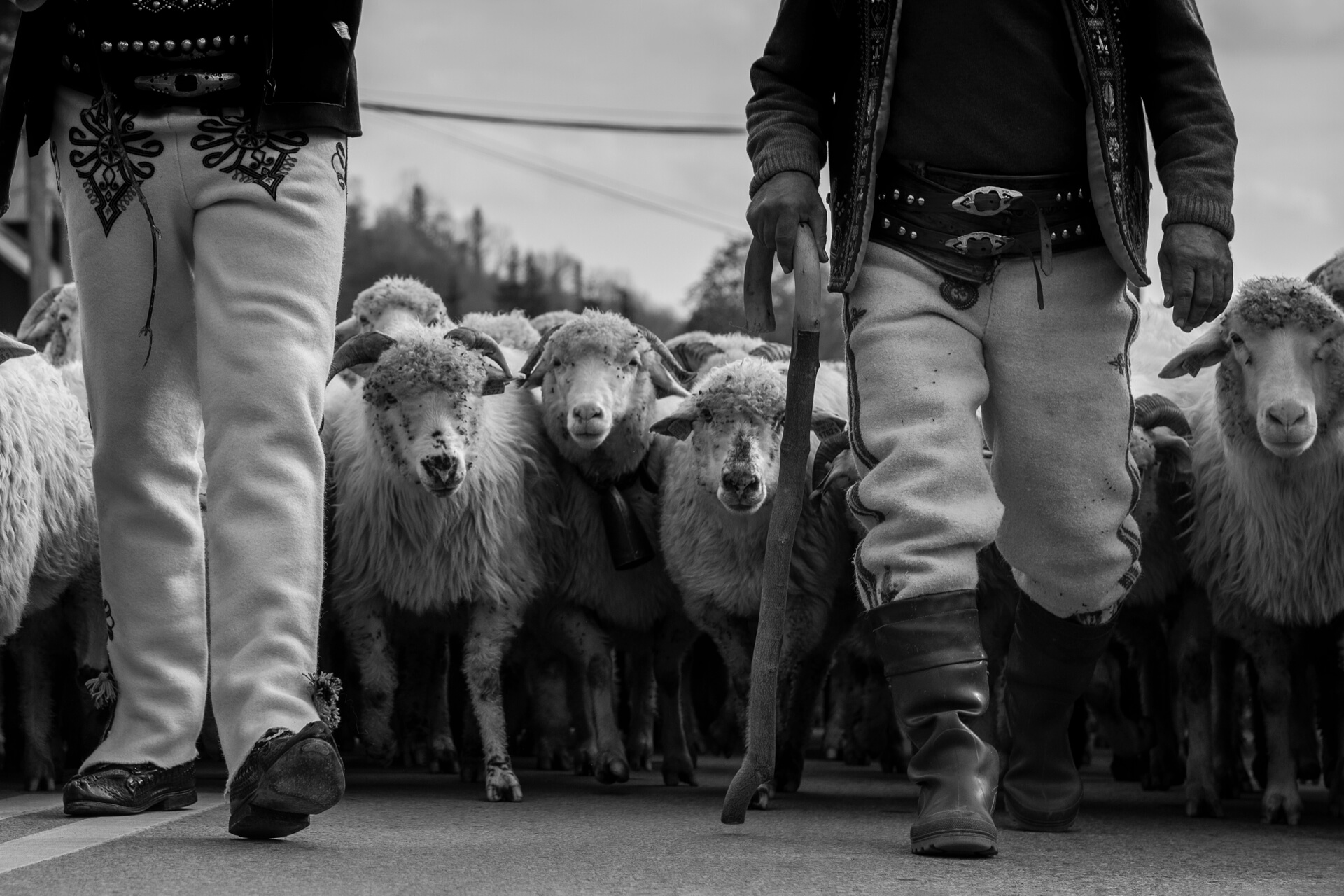 zdjęcie Marka Gubały