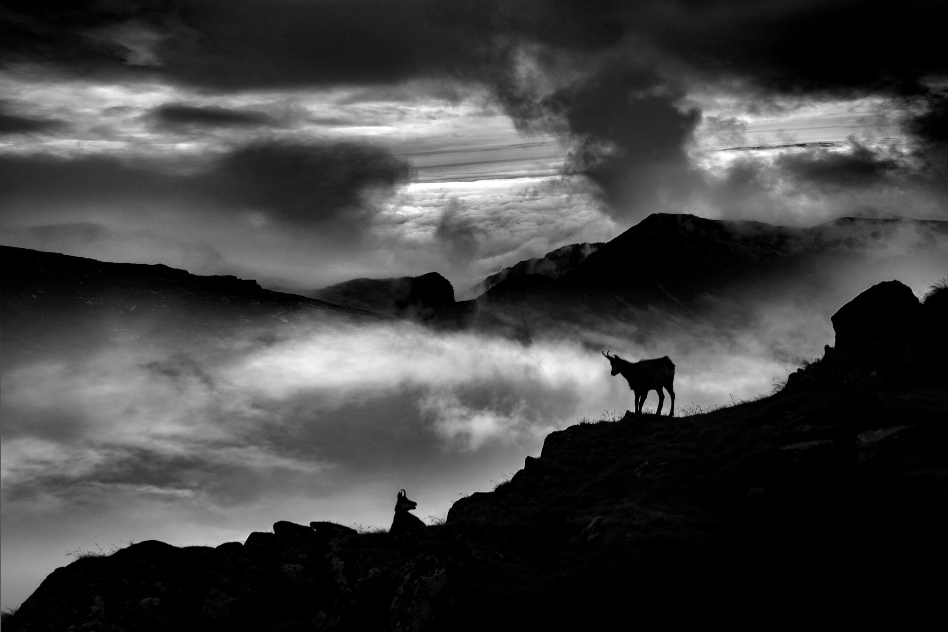 zdjęcie Marka Gubały