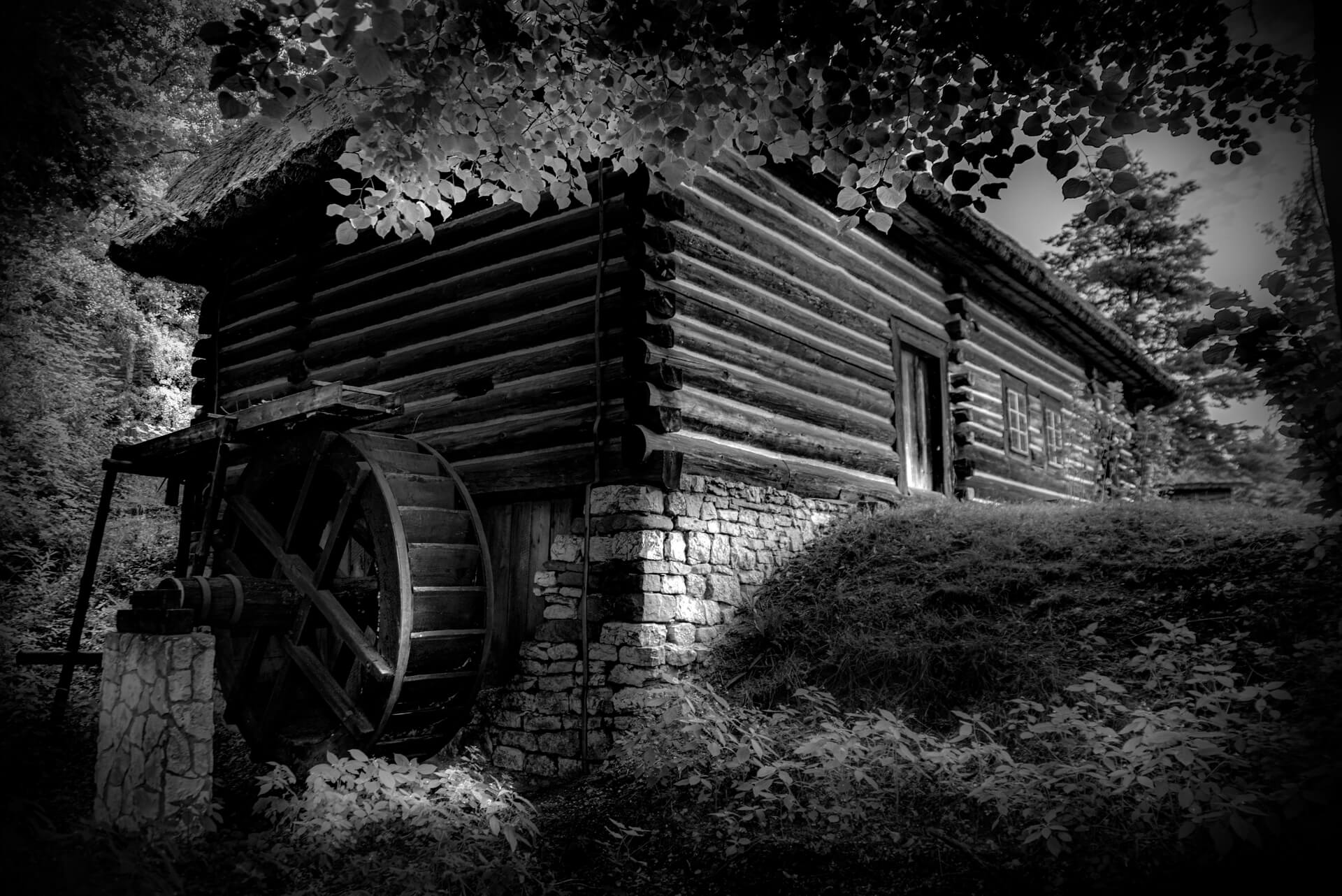 zdjęcie Marka Gubały