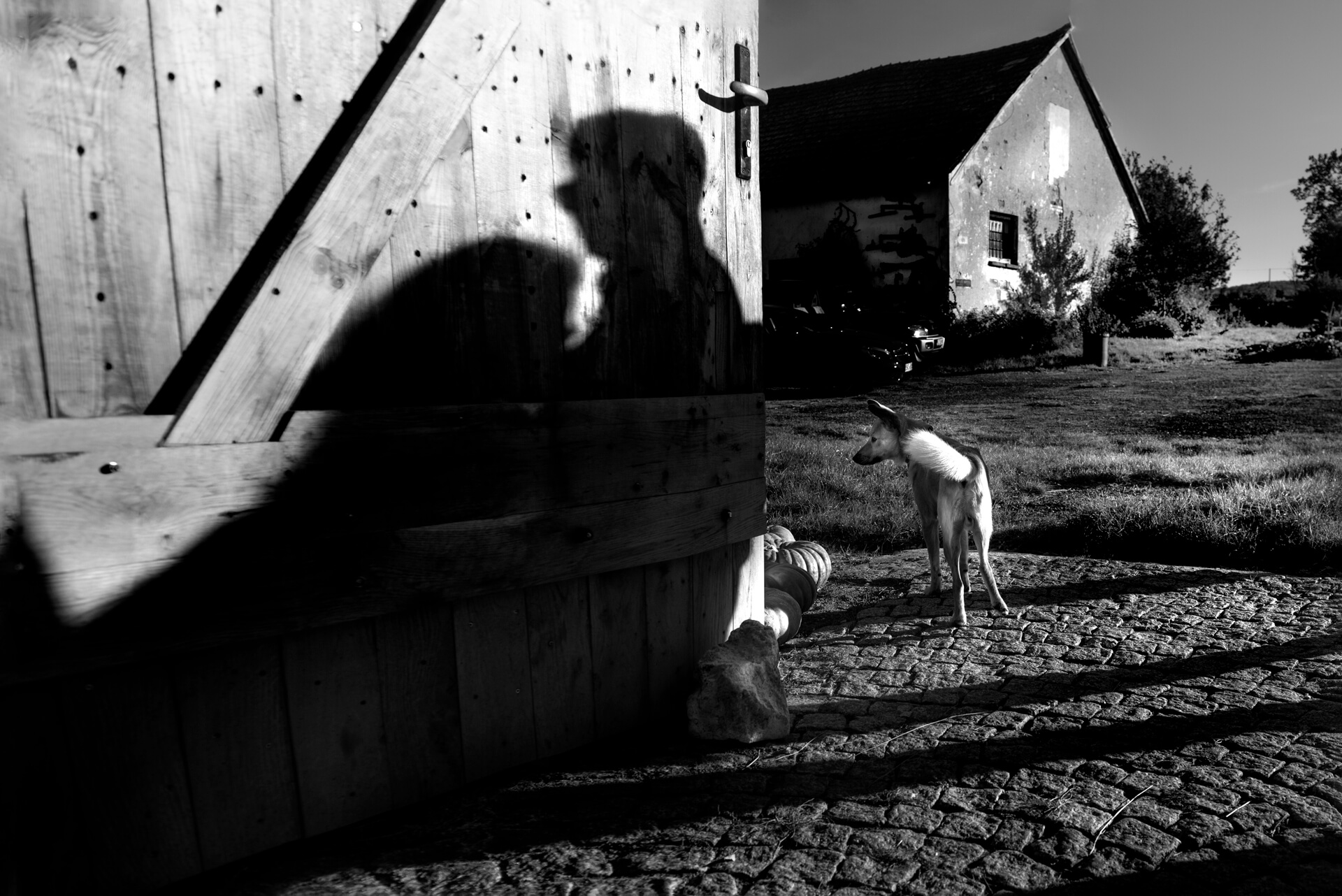 zdjęcie Marka Gubały