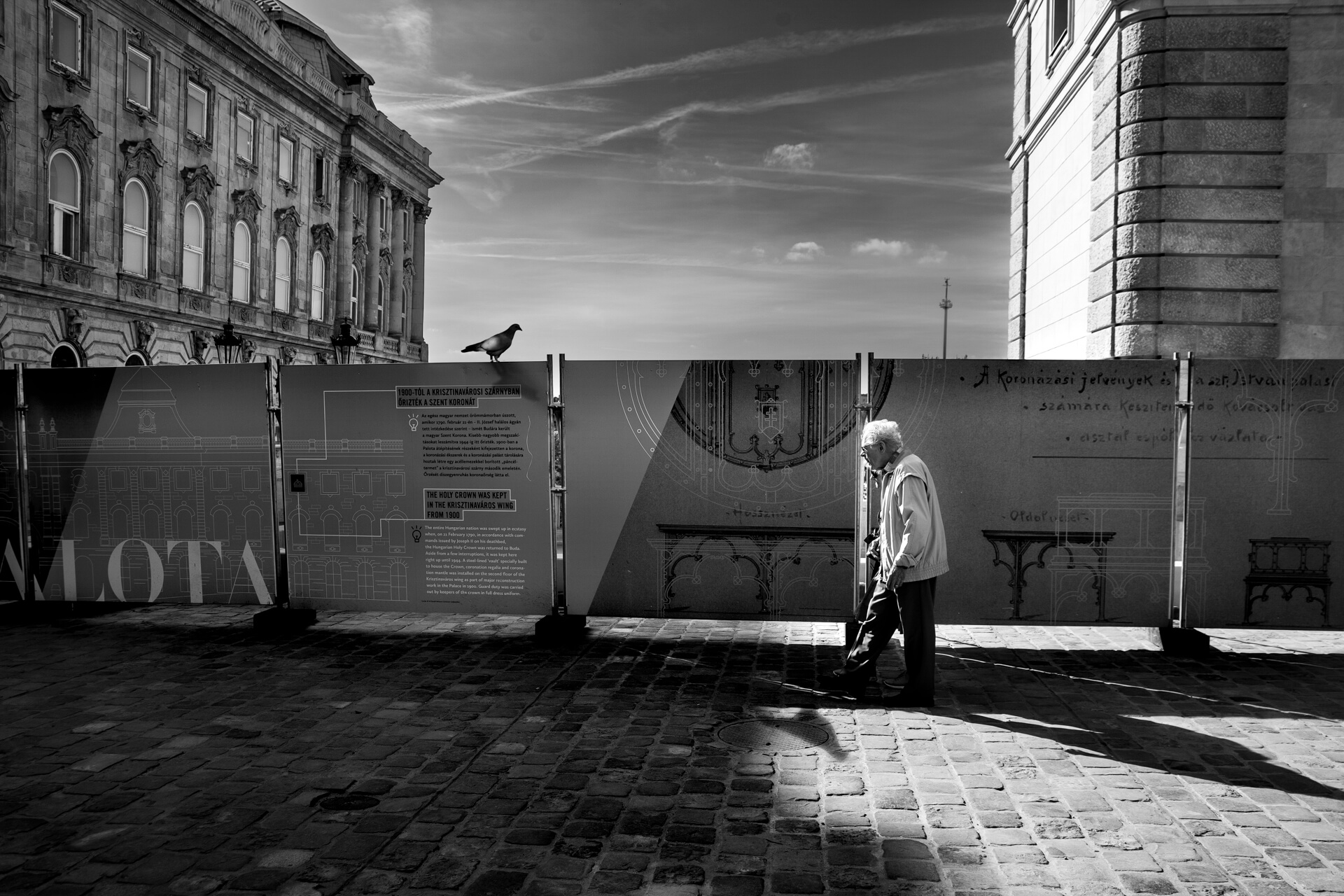 zdjęcie Marka Gubały