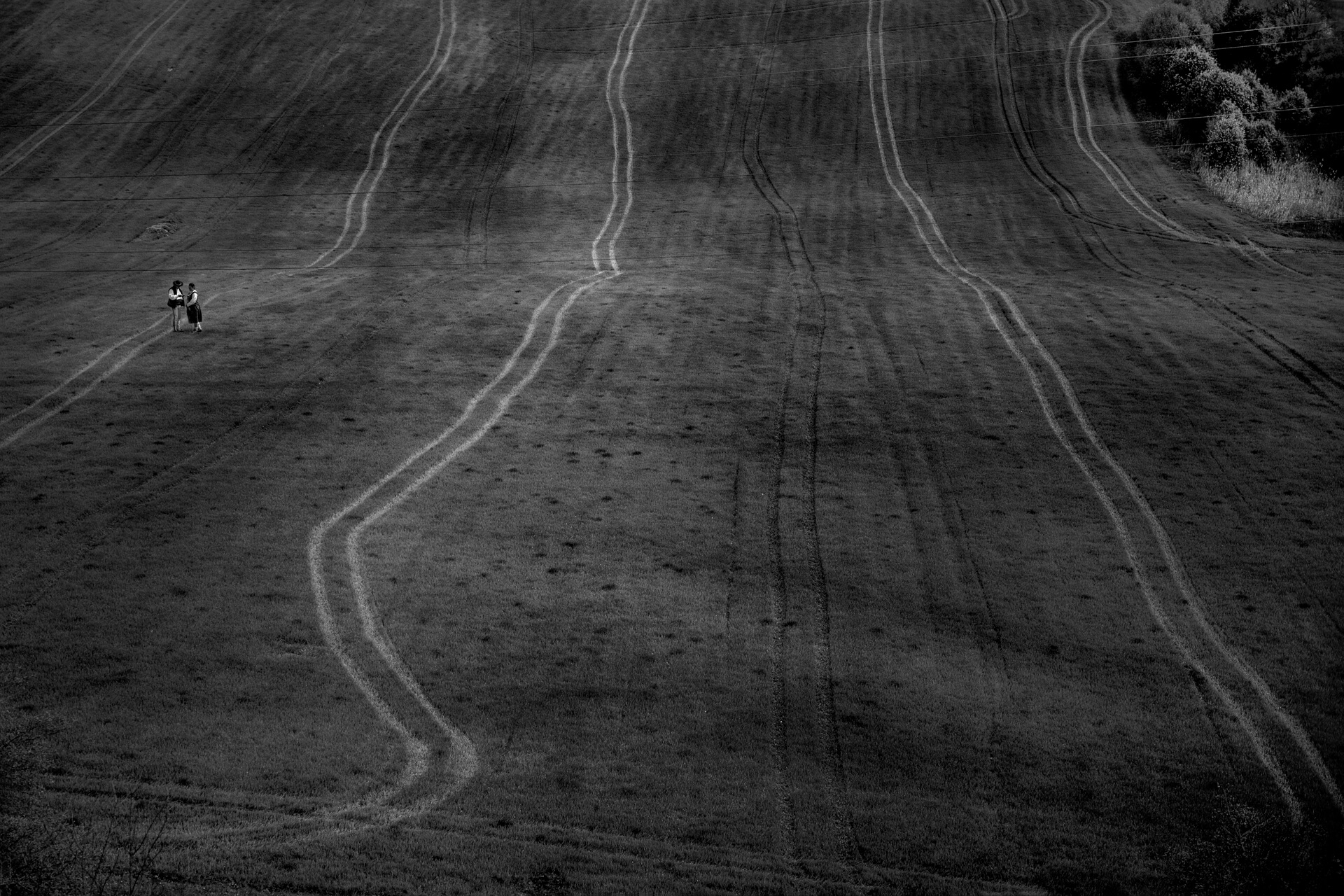 zdjęcie Marka Gubały