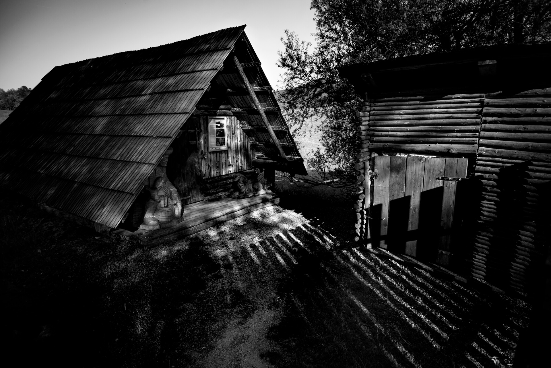 zdjęcie Marka Gubały